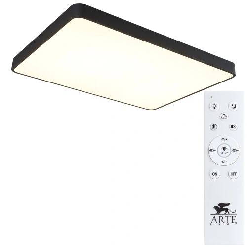Потолочный светильник Arte Lamp SCENA A2662PL-1BK фото 2