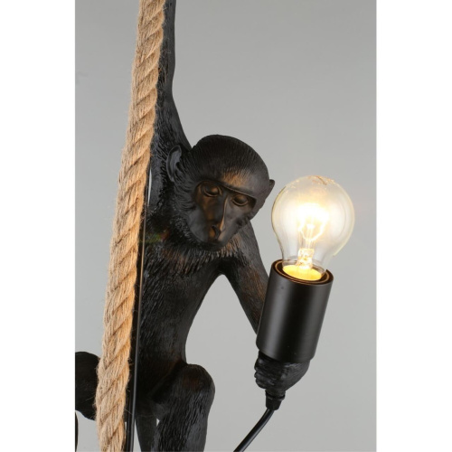 Светильник подвесной APL.309.16.01 фото 8 Светильник подвесной APL.309.16.01 фото 8