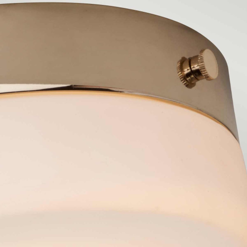 Потолочный светильник для ванных комнат Elstead Lighting TAMAR-F-M-PG фото 3