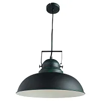 Подвесной светильник Arte Lamp MARTIN A5213SP-1BG