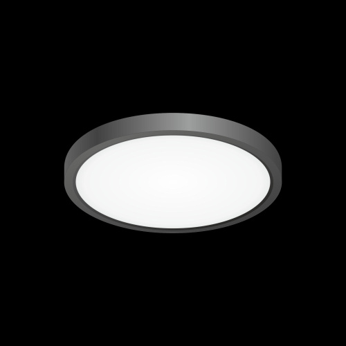 Citilux Бейсик CL738181V Светильник накладной Чёрный фото 2 Citilux Бейсик CL738181V Светильник накладной Чёрный фото 2