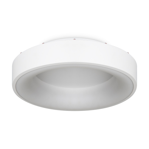 Потолочный светильник Freya FR6118CL-L45W