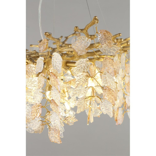 Люстра подвесная OML-52803-08 фото 7 Люстра подвесная OML-52803-08 фото 7