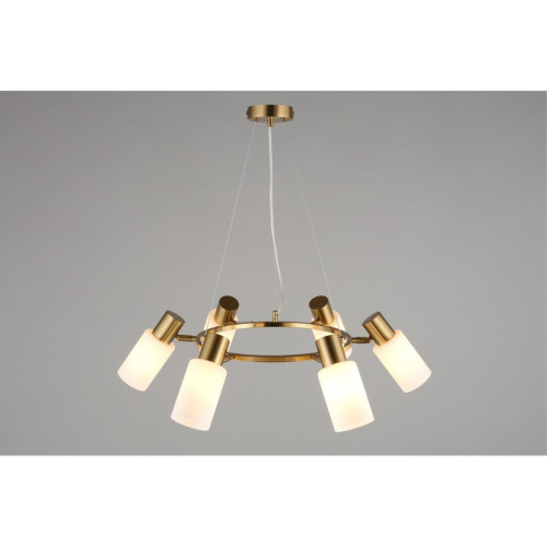 Люстра подвесная OML-69103-06 фото 7 Люстра подвесная OML-69103-06 фото 7