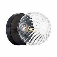 Бра Evoluce Salerno SLE220341-01