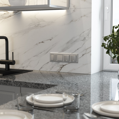 Выключатель одноклавишный (серебряный матовый) W1110065 фото 2 Выключатель одноклавишный (серебряный матовый) W1110065 фото 2