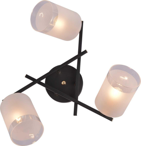 Потолочная люстра Rivoli Fiona 3163-303 Б0059259 фото 4