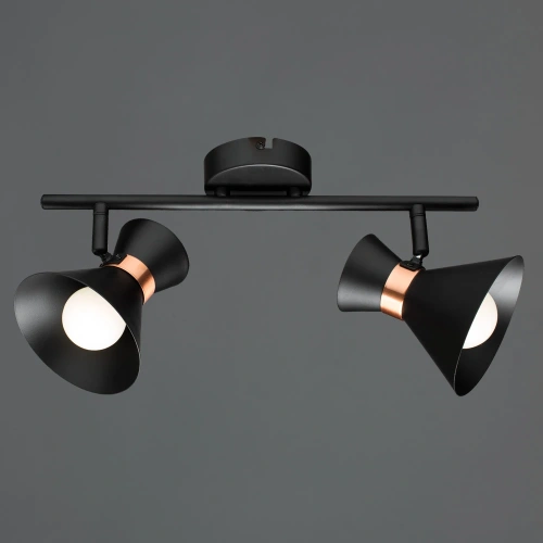 Спот Arte Lamp BALTIMORE A1406AP-2BK фото 2