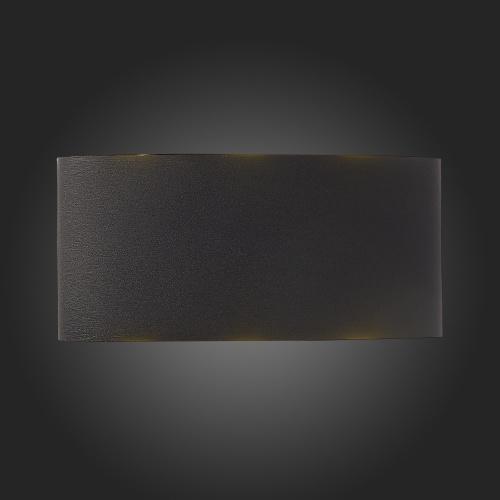 SL089.401.06 Светильник уличный настенный ST-Luce Черный кварцевый LED 6*1W 4000K BISELLO фото 9