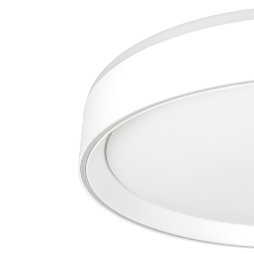 Citilux BOSS CL751350G LED RGB Светильник с пультом Белый фото 9
