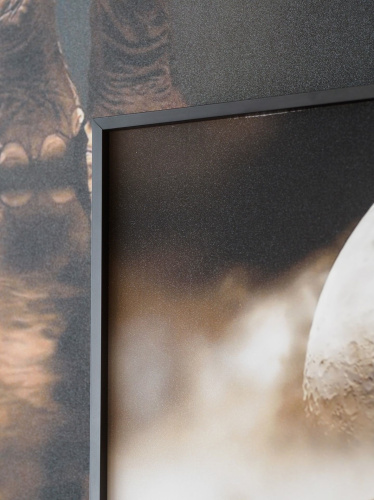 Декоративная картина FP Elephant 50-70 фото 3 Декоративная картина FP Elephant 50-70 фото 3