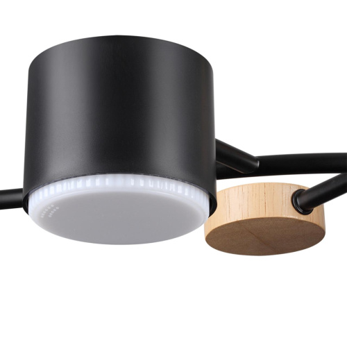 8194/5C COMFI LN26 335 черный, металл/дерево/пластик Потолочный светильник LED GX53 5*9W 220V CRYPTO фото 7 8194/5C COMFI LN26 335 черный, металл/дерево/пластик Потолочный светильник LED GX53 5*9W 220V CRYPTO фото 7