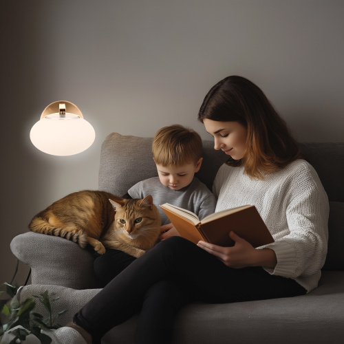 Citilux ATMAN SMART CL226B313 Бра светодиодное Бронза фото 23 Citilux ATMAN SMART CL226B313 Бра светодиодное Бронза фото 23