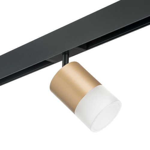 Комплект с трековым светильником Lightstar Rullo (213490+595087+202481) PRO349081