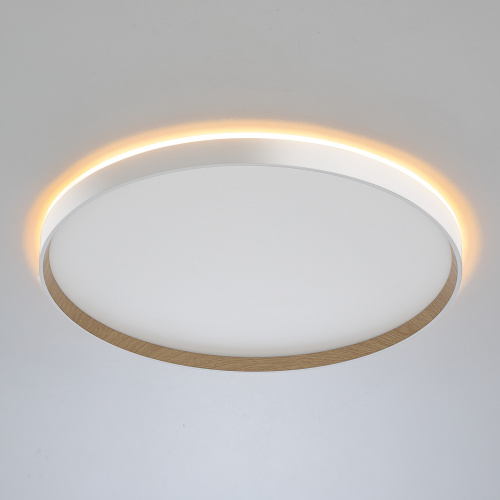 Citilux ETALON CL750500R LED RGB Светильник с пультом Белый+Бук фото 3 Citilux ETALON CL750500R LED RGB Светильник с пультом Белый+Бук фото 3