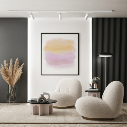 Светильник на шине Denkirs SMART SPOT | СМАРТ СПОТ DK8020-WH фото 3 Светильник на шине Denkirs SMART SPOT | СМАРТ СПОТ DK8020-WH фото 3