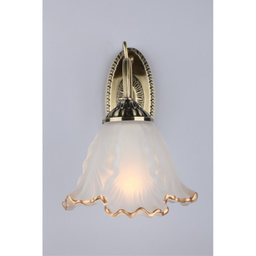 Светильник настенный (Бра) OML-54801-01 фото 4 Светильник настенный (Бра) OML-54801-01 фото 4