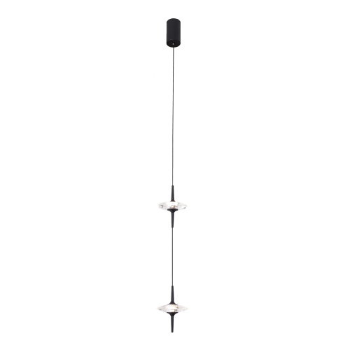 SL6231.403.02 Светильник подвесной ST-Luce Черный/Прозрачный LED 2*5W 4000K ZENITH SL6231.403.02 Светильник подвесной ST-Luce Черный/Прозрачный LED 2*5W 4000K ZENITH
