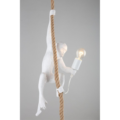 Светильник подвесной APL.309.06.01 фото 6 Светильник подвесной APL.309.06.01 фото 6