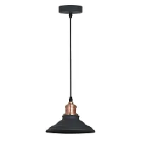 Подвесной светильник Arte Lamp LIDO A5067SP-1BK