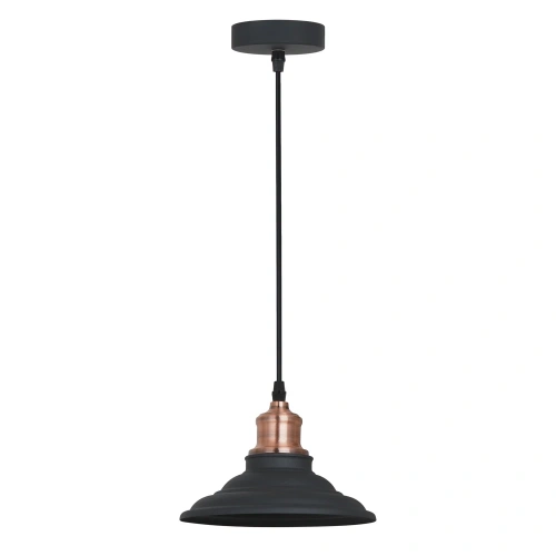 Подвесной светильник Arte Lamp LIDO A5067SP-1BK Подвесной светильник Arte Lamp LIDO A5067SP-1BK