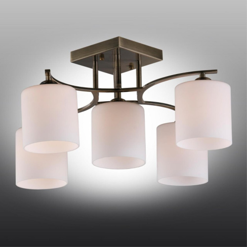 Люстра потолочная OML-55317-05 фото 3 Люстра потолочная OML-55317-05 фото 3