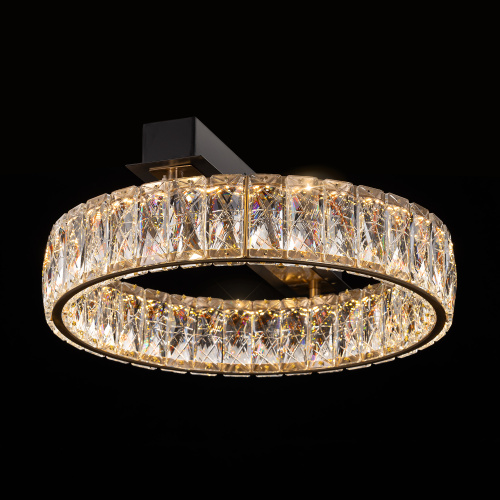 Citilux PALANT CL325142 LED Люстра хрустальная Чёрный+Бронза фото 9 Citilux PALANT CL325142 LED Люстра хрустальная Чёрный+Бронза фото 9