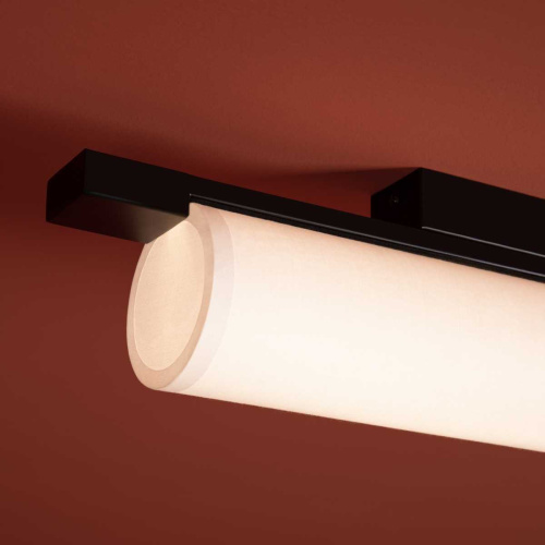 Потолочный светильник Freya Modern Even FR5625CL-L20B фото 9 Потолочный светильник Freya Modern Even FR5625CL-L20B фото 9