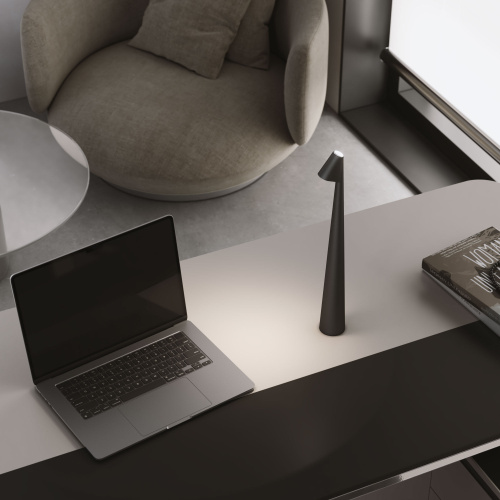 Светильник светодиодный настольный Elite черный TL70250 фото 3