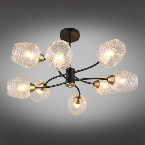 Люстра потолочная OML-67807-08 фото 3