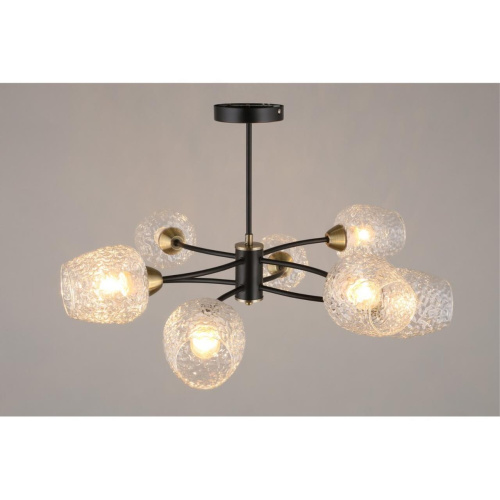 Люстра потолочная OML-67807-08 фото 5