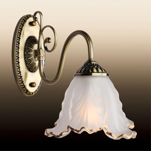 Светильник настенный (Бра) OML-54801-01 фото 6 Светильник настенный (Бра) OML-54801-01 фото 6