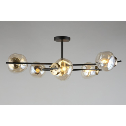 Люстра потолочная OML-95307-06 фото 12 Люстра потолочная OML-95307-06 фото 12