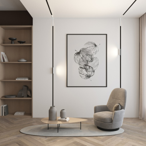 Светильник на шине Denkirs SMART LINEAR | СМАРТ ЛИНЕАР DK8015-BK фото 3 Светильник на шине Denkirs SMART LINEAR | СМАРТ ЛИНЕАР DK8015-BK фото 3