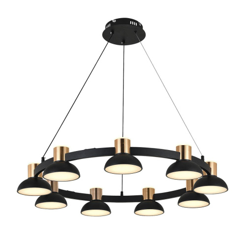 Подвесная светодиодная люстра Indigo Traforo 11059/9P Black V000183L фото 3 Подвесная светодиодная люстра Indigo Traforo 11059/9P Black V000183L фото 3