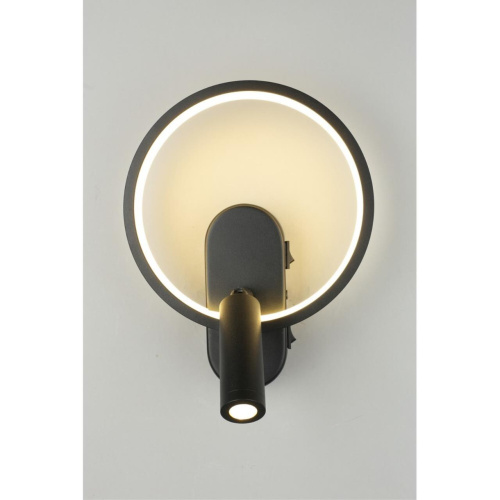 Светильник настенный (Бра) APL.346.01.02 фото 4