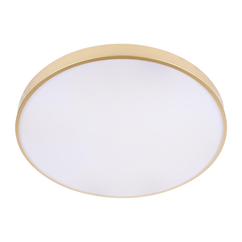 10228/B Потолочный светильник LOFT IT Flims фото 7 10228/B Потолочный светильник LOFT IT Flims фото 7