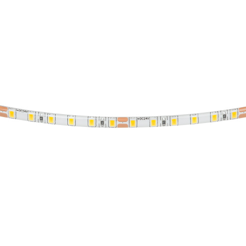 420554 Лента LIGHTSTAR LED 24V 12W 120leds/M 1500LM/M 4000K IP65 1шт = 5м фото 3