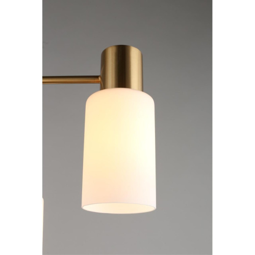 Люстра потолочная OML-69107-08 фото 6 Люстра потолочная OML-69107-08 фото 6