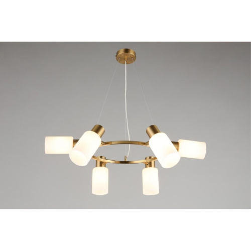 Люстра подвесная OML-69103-06 фото 4 Люстра подвесная OML-69103-06 фото 4