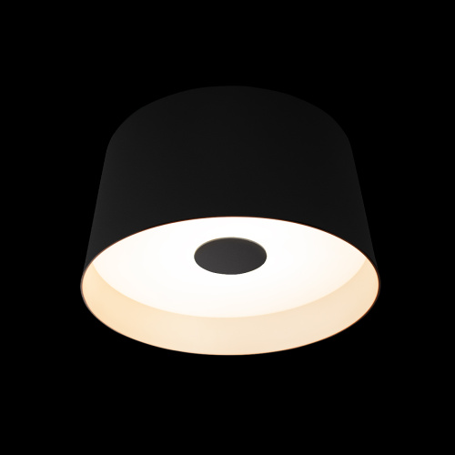 10360S Black Потолочный светильник LOFT IT Duo фото 5