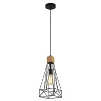 Подвесной светильник Lumien Hall Карру LH4117/1P-BK