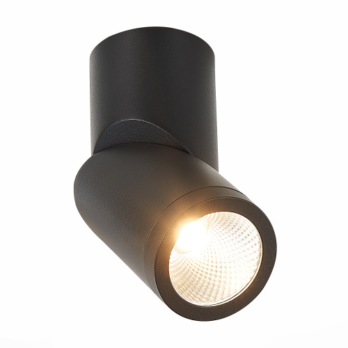 ST650.442.10 Светильник потолочный Черный LED 1*10W 4000K 800Lm Ra>90 38° IP44 D62xH151 165-265V Накладные светильники фото 5