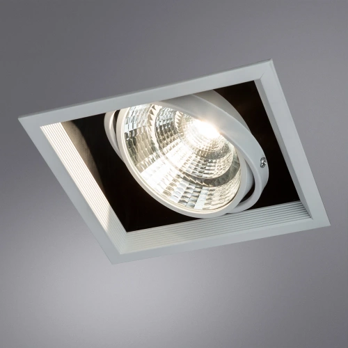 Карданный светильник Arte Lamp MERGA A8450PL-1WH фото 2