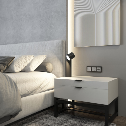 Диммер N (серебряный матовый) W1142065 фото 2