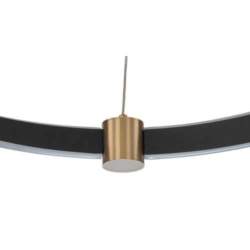 Подвесной светильник 14014/B/1P Black фото 3