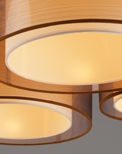 Светильник потолочный Moderli V10624-5C Room фото 3