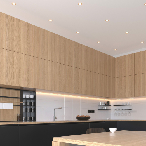 Встраиваемый точечный светильник 110 MR16 золотой фото 6