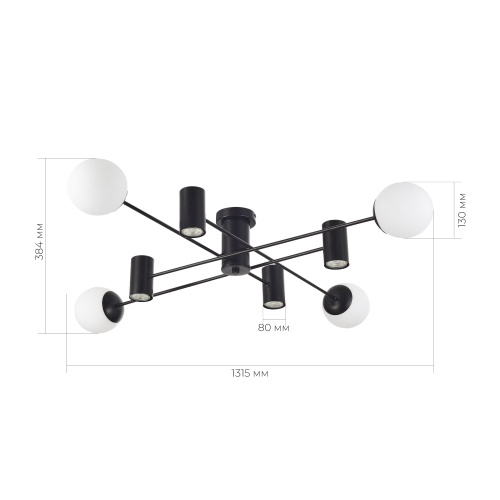 SLE1105-402-08 Светильник потолочный Черный/Белый GU10+E27 4+4*5+60W RAITO фото 2