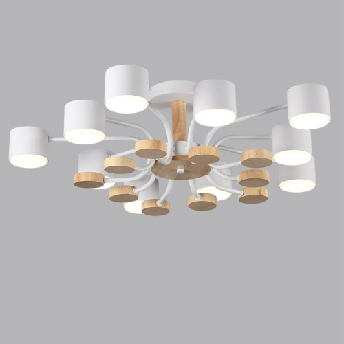 8196/10C COMFI LN26 336 белый, металл/дерево/пластик Потолочный светильник LED GX53 10*9W 220V RONDO фото 4 8196/10C COMFI LN26 336 белый, металл/дерево/пластик Потолочный светильник LED GX53 10*9W 220V RONDO фото 4